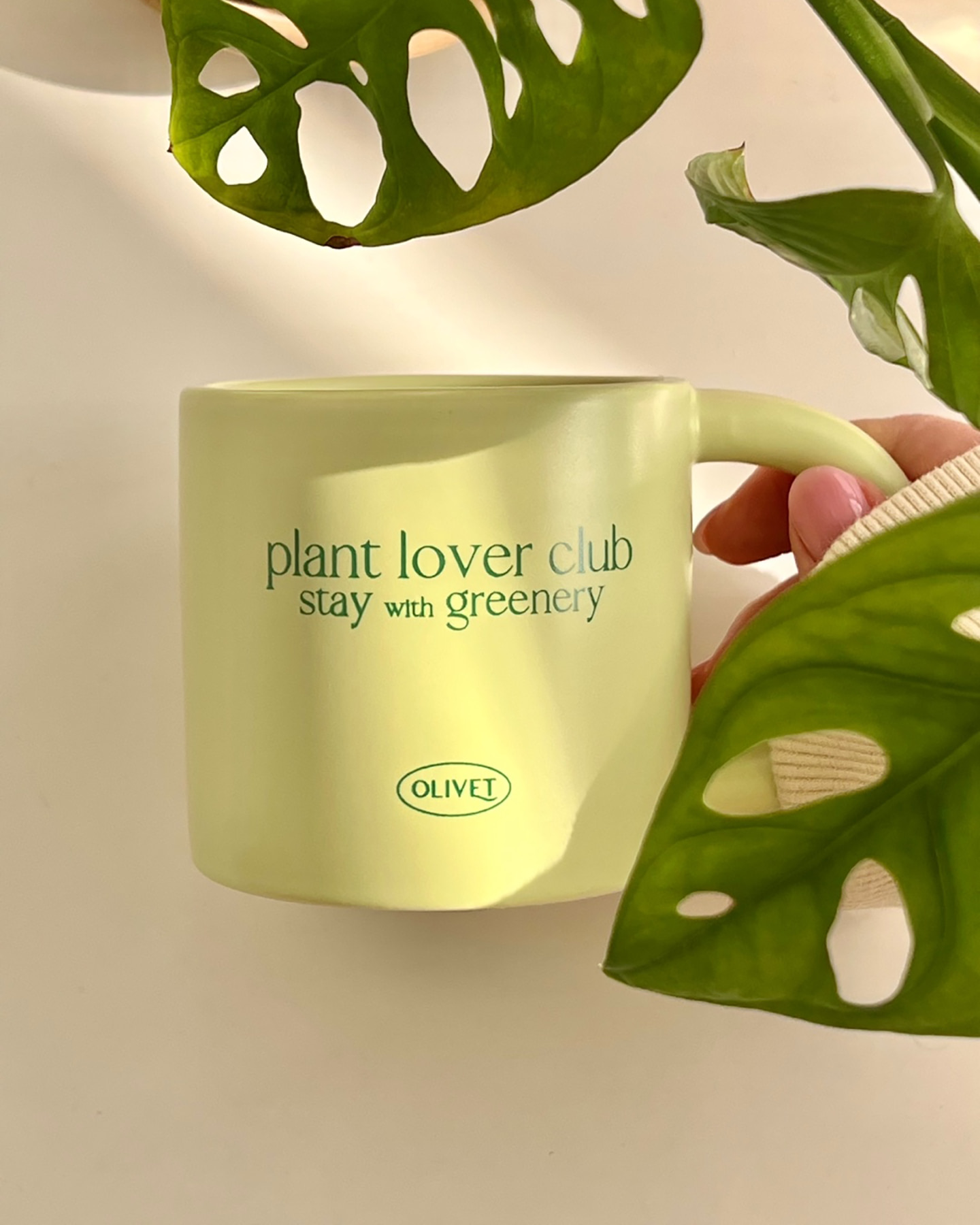 (단종) plant lover club &#039;green&#039; mug