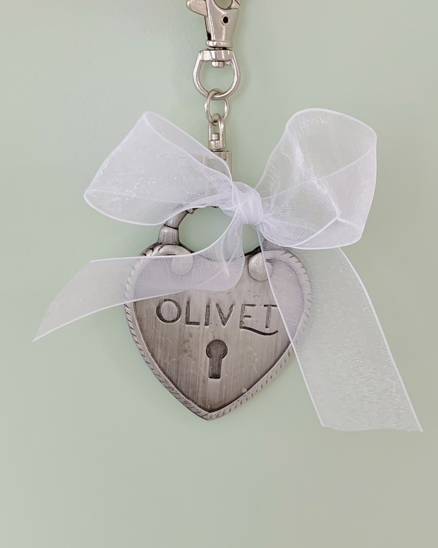 Olivet heart bag-charm